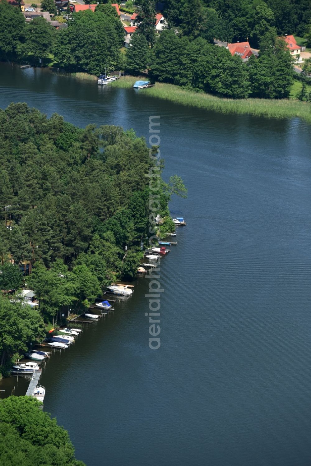 Aerial photograph Zechlinerhütte - Boat marina with docks and moorings on the shore of Lake Schlabornsee in Zechlinerhuette in the state of Brandenburg