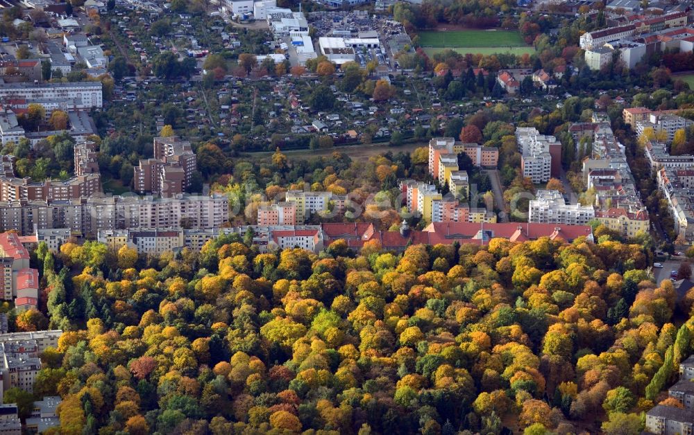 Aerial image Berlin - Overlooking autumn colored treetops at Wollankstrasse with a view of Franzosenbecken with residential and commercial areas as well as an allot settlement in Berlin - Pankow