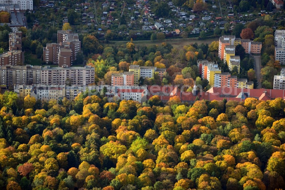 Aerial photograph Berlin - Overlooking autumn colored treetops at Wollankstrasse with a view of Franzosenbecken with residential and commercial areas as well as an allot settlement in Berlin - Pankow