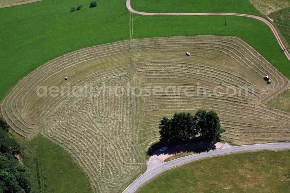 Schopfheim from above - Working with harvesters on agricultural fields creating rows and art work in the Black Forest in Schopfheim in the state Baden-Wuerttemberg, Germany