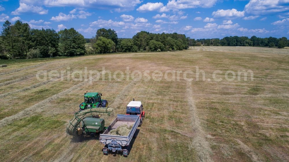 Aerial image Planetal - Working hay harvest with harvesters on agricultural field rows in Planetal in the state Brandenburg, Germany