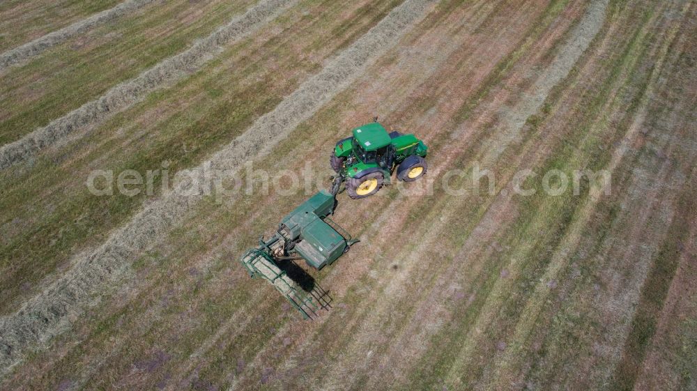 Planetal from above - Working hay harvest with harvesters on agricultural field rows in Planetal in the state Brandenburg, Germany