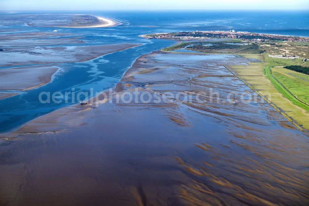 Hagermarsch from the bird's eye view: Ship - Special ship for laying grid connection systems for offshore wind turbines Balwin1 and Balwin2 in Hagermarsch in the state Lower Saxony, Germany