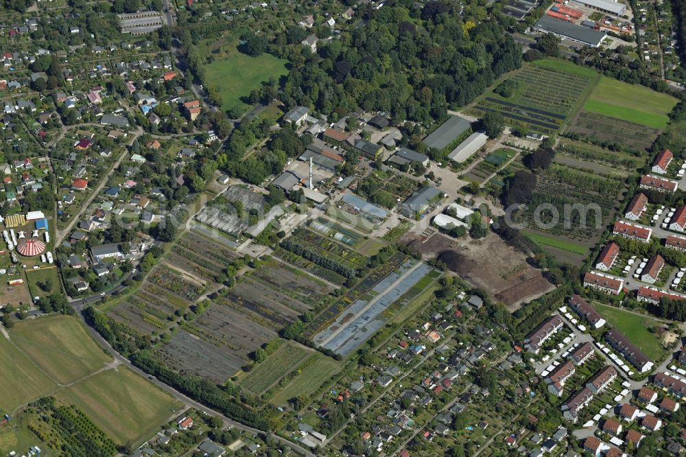 Aerial photograph Berlin - Areal plant market SpaethA?sche Baumschule in Berlin