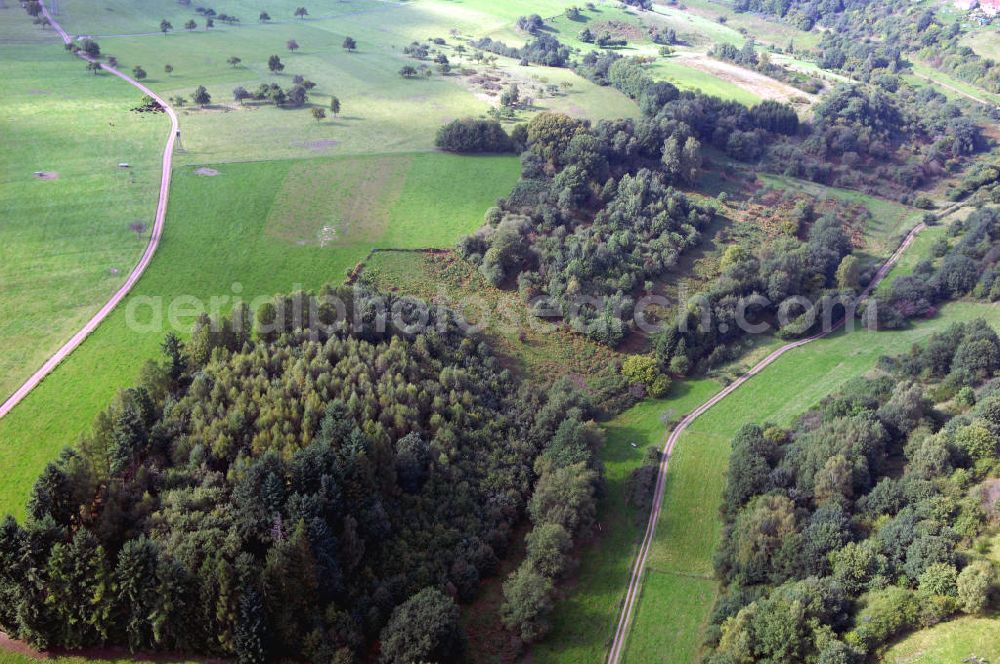 Aerial photograph Mettlach OT Saarhölzbach - Blick über das Arkansas Wäldchen bei Saarhölzbach.