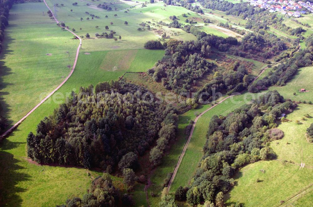 Mettlach OT Saarhölzbach from above - Blick über das Arkansas Wäldchen bei Saarhölzbach.