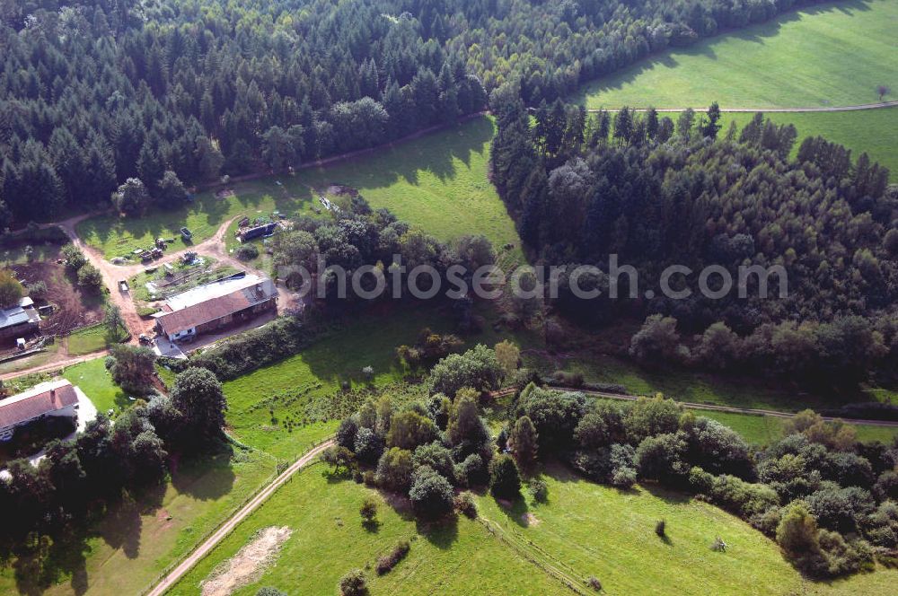 Mettlach OT Saarhölzbach from the bird's eye view: Blick über das Arkansas Wäldchen bei Saarhölzbach.