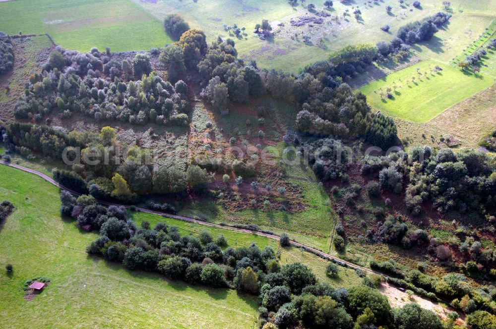 Aerial photograph Mettlach OT Saarhölzbach - Blick über das Arkansas Wäldchen bei Saarhölzbach.