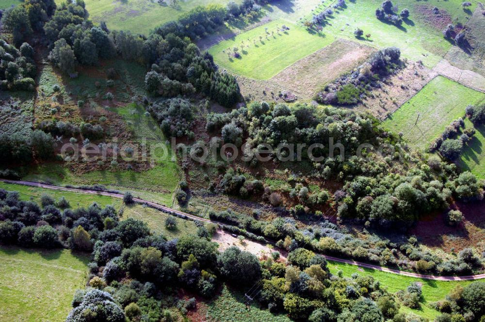 Mettlach OT Saarhölzbach from above - Blick über das Arkansas Wäldchen bei Saarhölzbach.