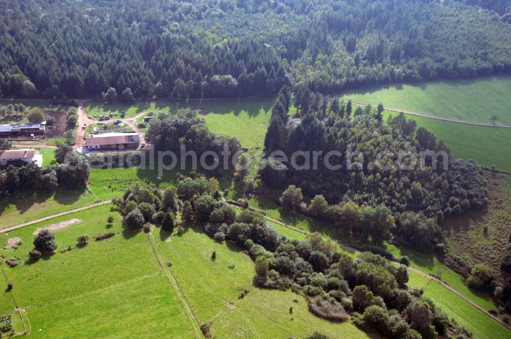 Aerial photograph Mettlach OT Saarhölzbach - Blick über das Arkansas Wäldchen bei Saarhölzbach.