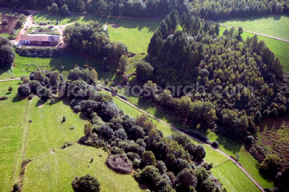 Mettlach OT Saarhölzbach from above - Blick über das Arkansas Wäldchen bei Saarhölzbach.