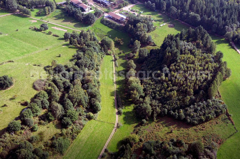 Mettlach OT Saarhölzbach from the bird's eye view: Blick über das Arkansas Wäldchen bei Saarhölzbach.