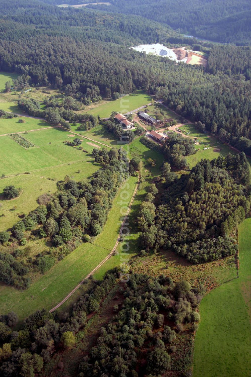 Aerial image Mettlach OT Saarhölzbach - Blick über das Arkansas Wäldchen bei Saarhölzbach.