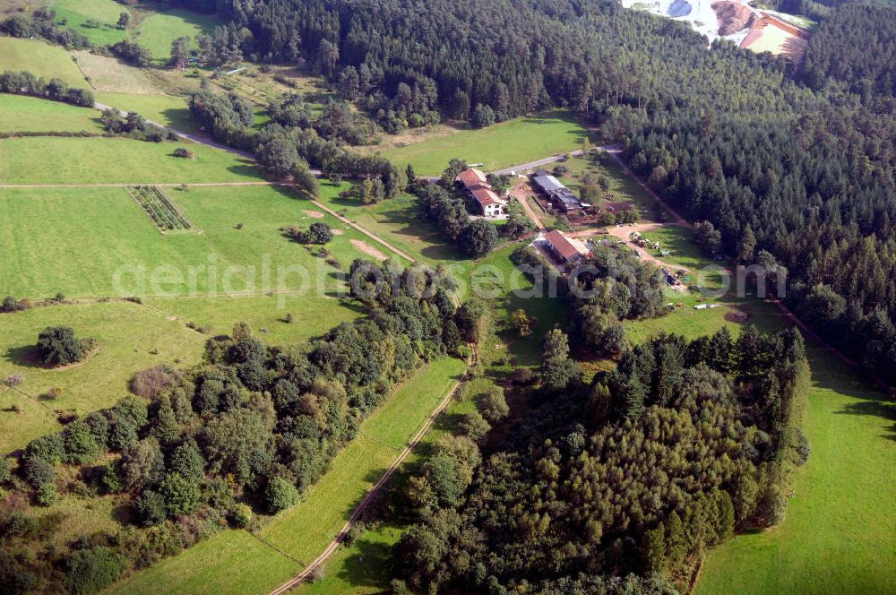 Aerial photograph Mettlach OT Saarhölzbach - Blick über das Arkansas Wäldchen bei Saarhölzbach.