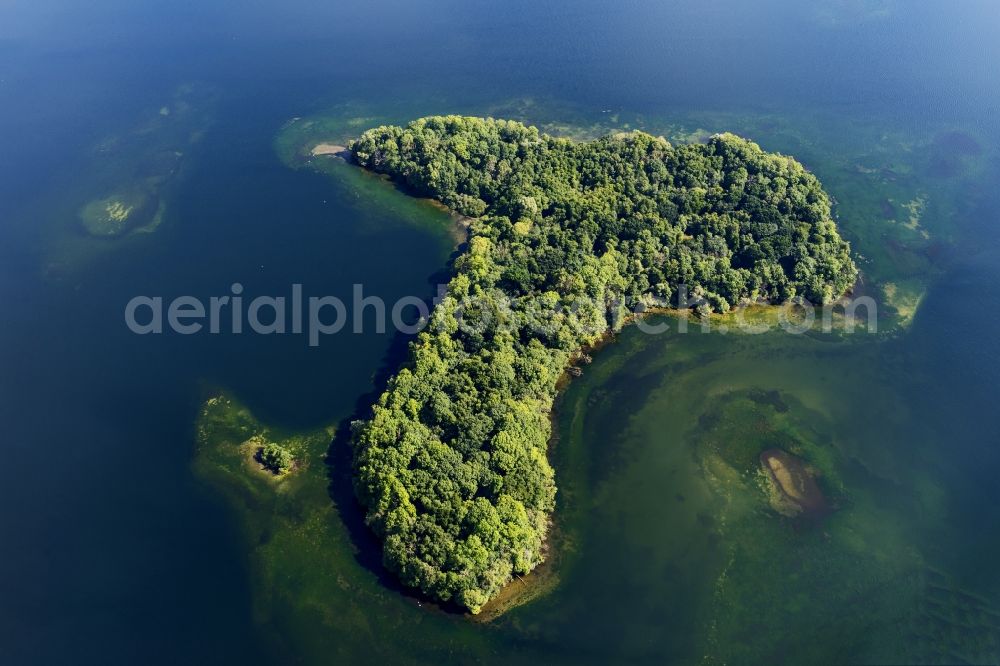 Ascheberg from the bird's eye view: Ascheberg Ascheberger Warder in Ploener See in the state Schleswig-Holstein, Germanyny