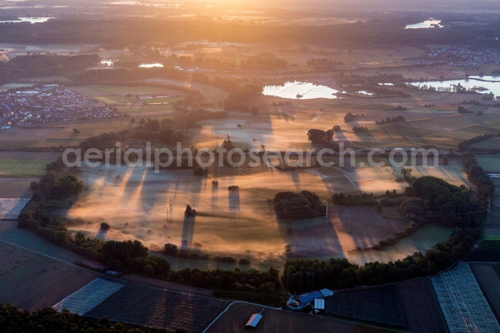 Aerial photograph Leimersheim - Curved loop of the riparian zones on the course of the former river Althrein at sunrise in Leimersheim in the state Rhineland-Palatinate, Germany