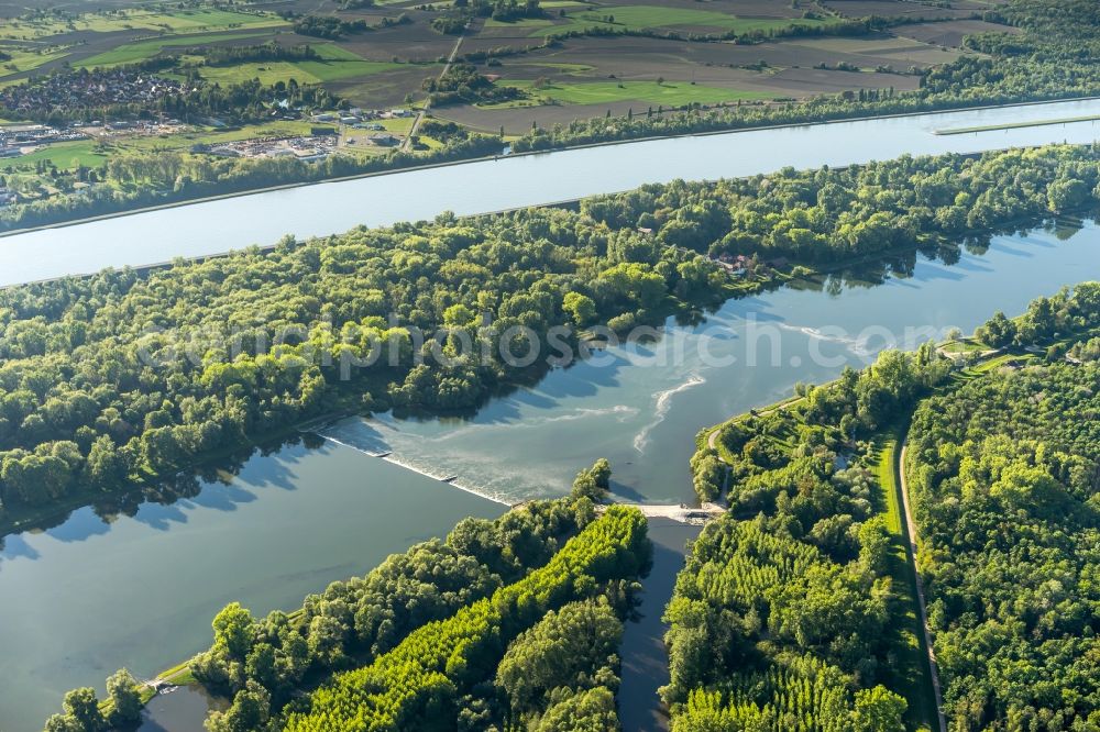 Aerial image Rheinau - Groyne head of the Rhein river course in Rheinau in the state Baden-Wuerttemberg