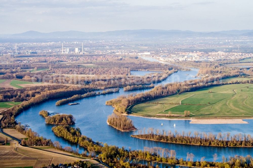 Otterstadt from above - Curved loop of the riparian zones on the course of the river Angelhofer Altrhein in Otterstadt in the state Rhineland-Palatinate, Germany