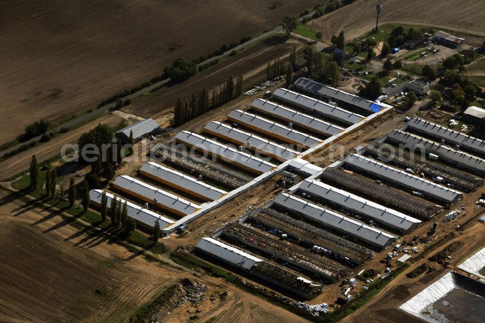 Chojna from the bird's eye view: Expansion and modernization work on roof greenhouse facilities of a commercial farm in the suburbs Chojna in Poland