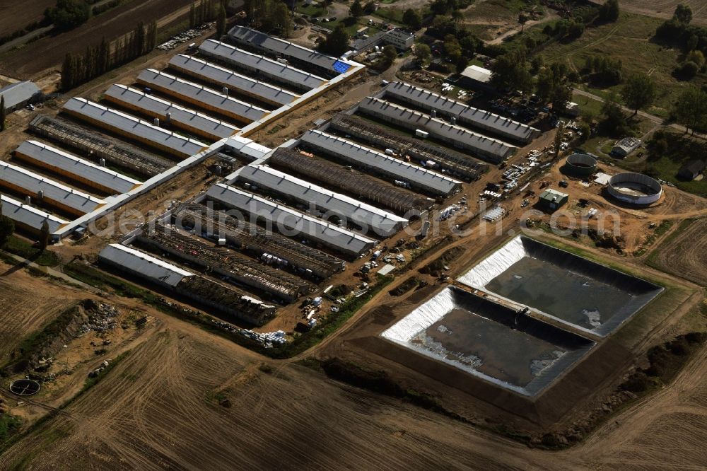 Aerial image Chojna - Expansion and modernization work on roof greenhouse facilities of a commercial farm in the suburbs Chojna in Poland