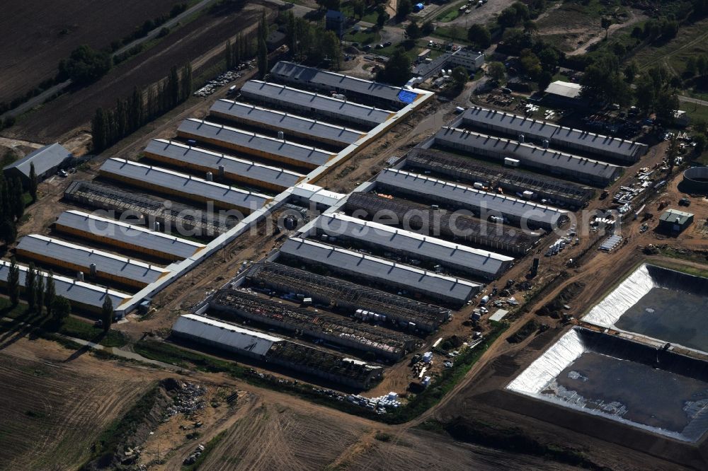 Chojna from above - Expansion and modernization work on roof greenhouse facilities of a commercial farm in the suburbs Chojna in Poland