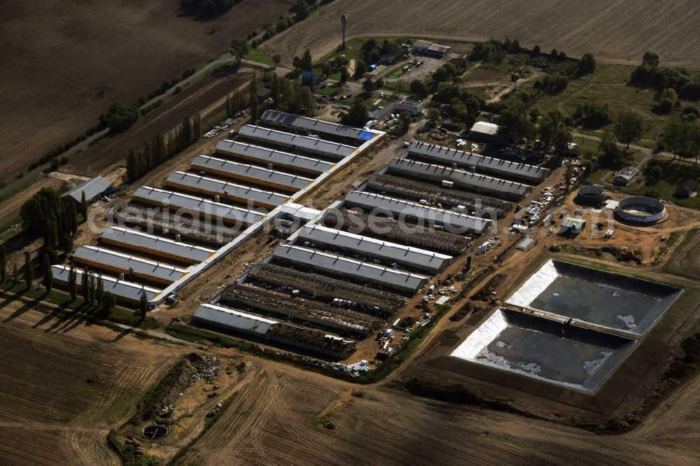 Chojna from above - Expansion and modernization work on roof greenhouse facilities of a commercial farm in the suburbs Chojna in Poland