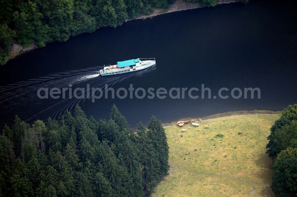 Aerial photograph Hohenwarte - Excursion boat and flock of cows on the Hohenwarte barrier lake in Hohenwarte in the state of Thuringia. The barrier lake is part of the Saale cascades on the upper Saale river which was built in the 1930s and 1940s to facilitate ship traffic on the river Elbe. On the shores of the cascade, several areas of graze and rangeland and forests are located