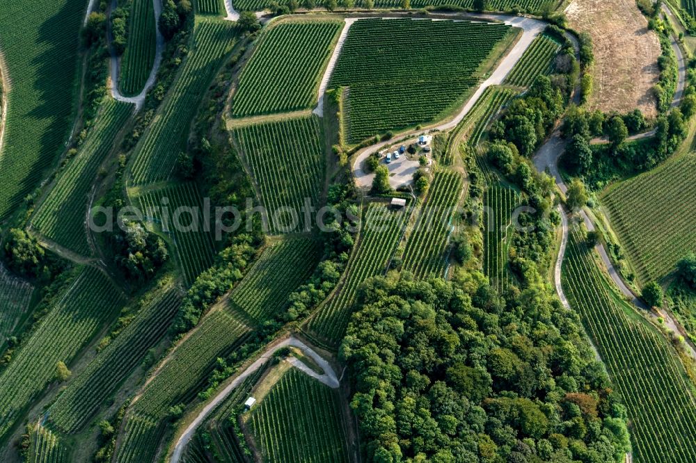 Vogtsburg im Kaiserstuhl from the bird's eye view: Structure of the observation tower Mondhalde in Vogtsburg im Kaiserstuhl in the state Baden-Wuerttemberg, Germany