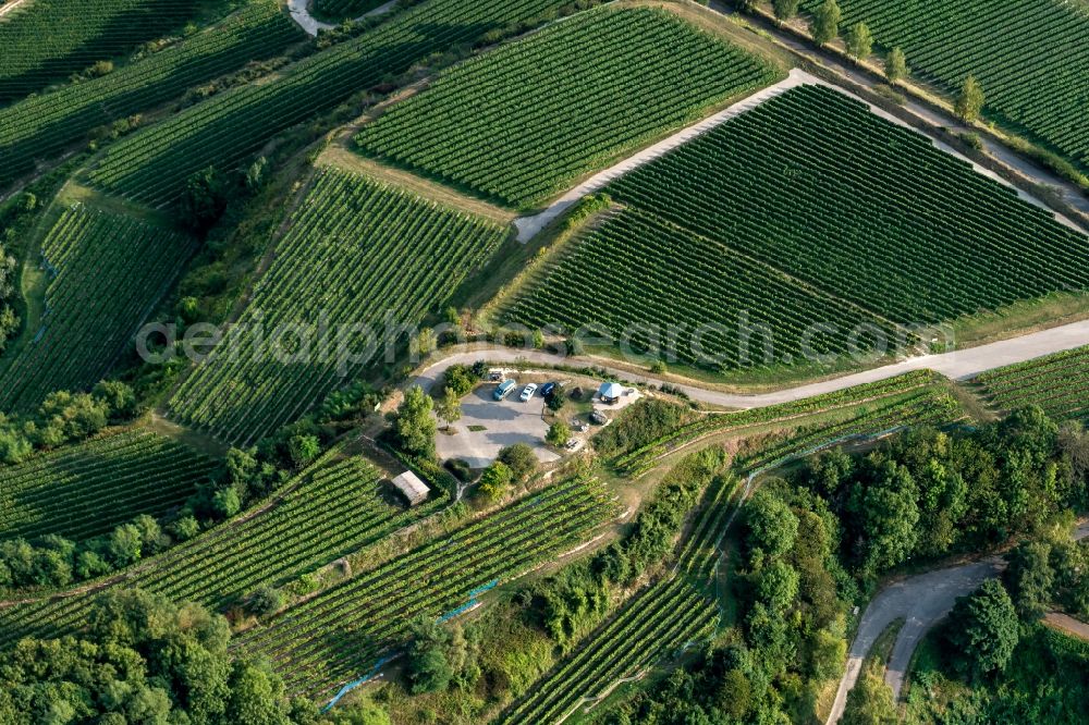 Aerial image Vogtsburg im Kaiserstuhl - Structure of the observation tower Mondhalde in Vogtsburg im Kaiserstuhl in the state Baden-Wuerttemberg, Germany