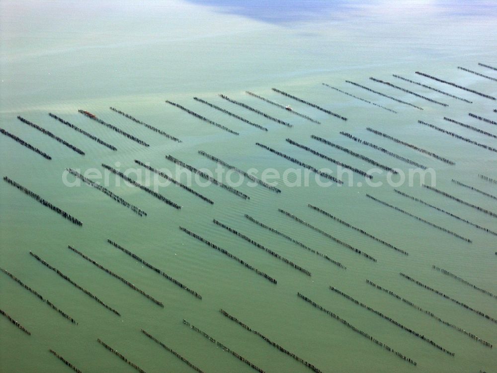 Ile d'Houat from the bird's eye view: Oyster beds near Ile d'Houat on the west coast of France