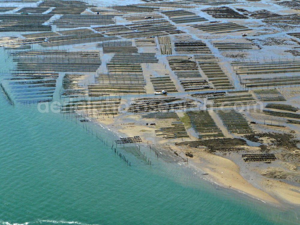 Arcachon from the bird's eye view: Blick auf die Zuchtanlagen für Austern im Becken von Arcachon. Das flache, warme Becken ist ideal für die Aufzucht von Saataustern, die dann in an dere Gebiete zur weiteren Zucht verkauft werden. View of the farms for oysters in the Bay of Arcachon. The shallow, warm pool is ideal for the breeding of young oysters which are then sold in other areas for further breeding.