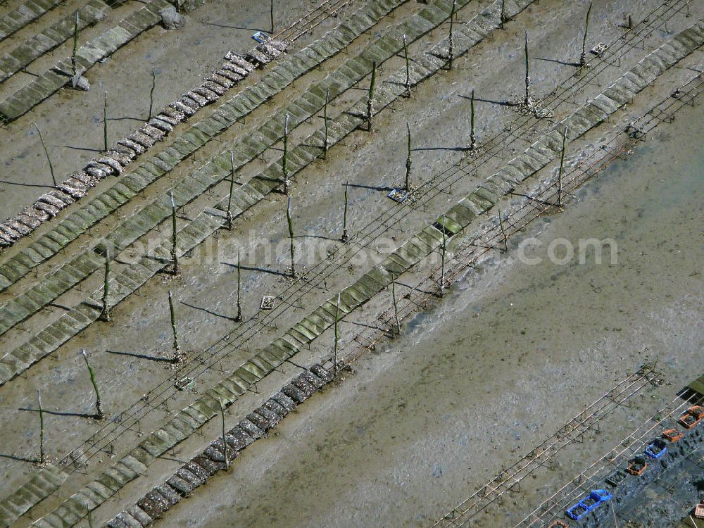 Aerial photograph Arcachon - Blick auf die Zuchtanlagen für Austern im Becken von Arcachon. Das flache, warme Becken ist ideal für die Aufzucht von Saataustern, die dann in an dere Gebiete zur weiteren Zucht verkauft werden. View of the farms for oysters in the Bay of Arcachon. The shallow, warm pool is ideal for the breeding of young oysters which are then sold in other areas for further breeding.