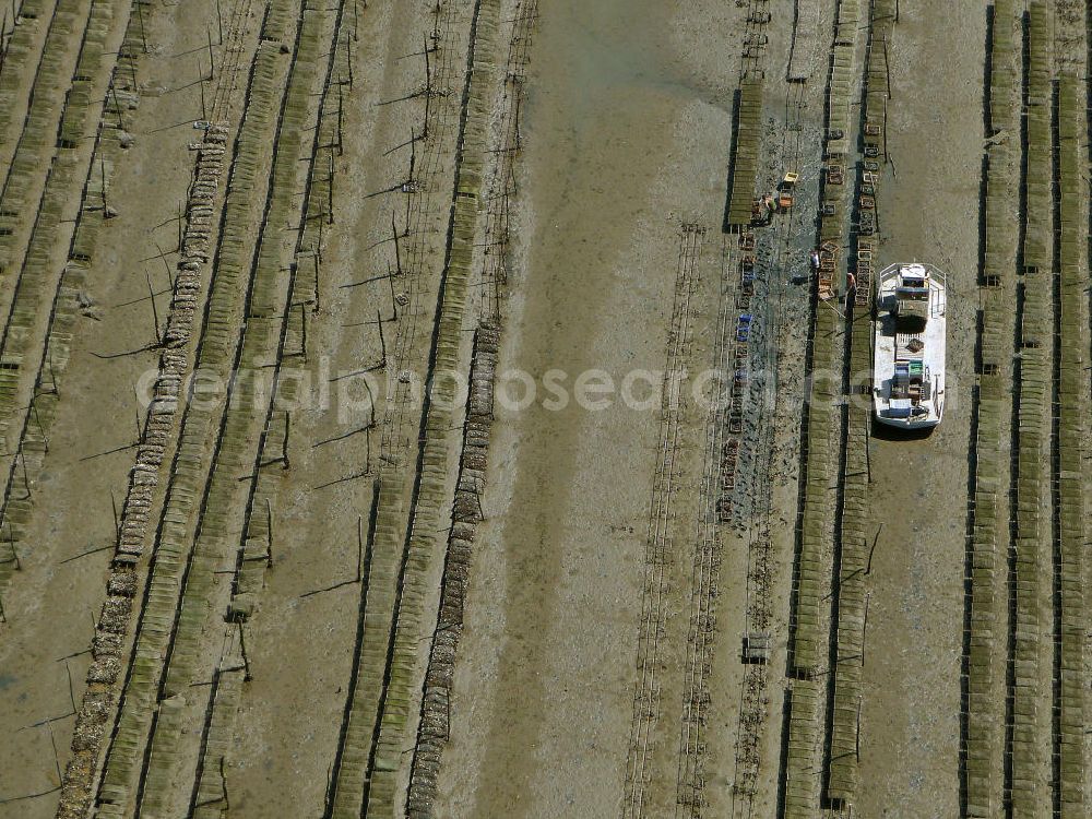 Arcachon from above - Blick auf die Zuchtanlagen für Austern im Becken von Arcachon. Das flache, warme Becken ist ideal für die Aufzucht von Saataustern, die dann in an dere Gebiete zur weiteren Zucht verkauft werden. View of the farms for oysters in the Bay of Arcachon. The shallow, warm pool is ideal for the breeding of young oysters which are then sold in other areas for further breeding.