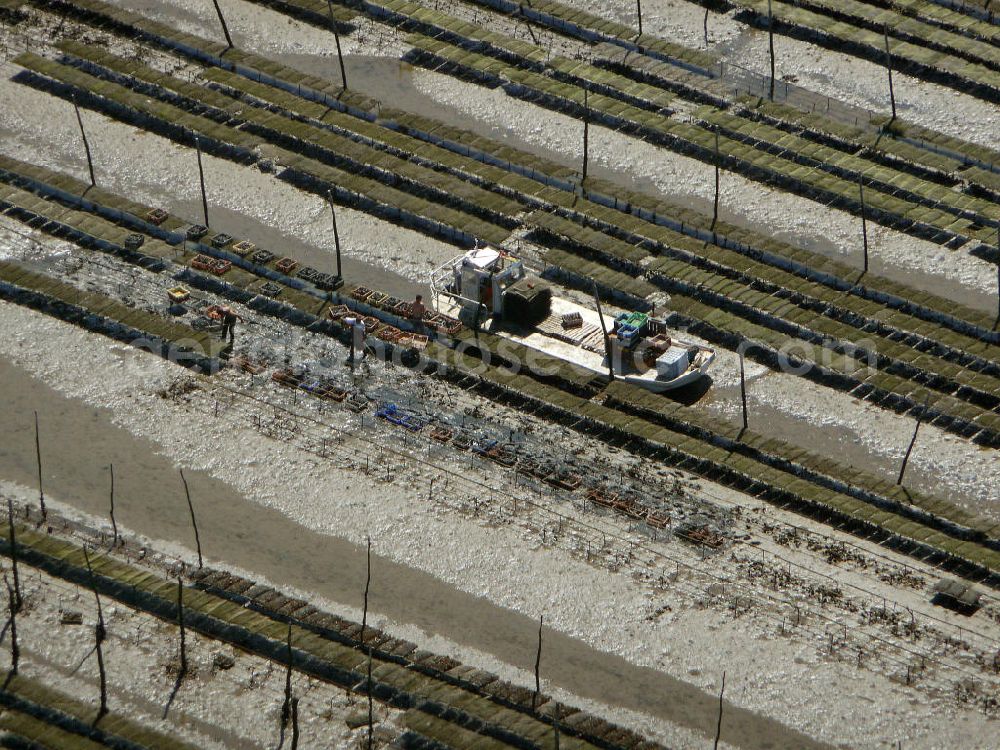 Arcachon from the bird's eye view: Blick auf die Zuchtanlagen für Austern im Becken von Arcachon. Das flache, warme Becken ist ideal für die Aufzucht von Saataustern, die dann in an dere Gebiete zur weiteren Zucht verkauft werden. View of the farms for oysters in the Bay of Arcachon. The shallow, warm pool is ideal for the breeding of young oysters which are then sold in other areas for further breeding.