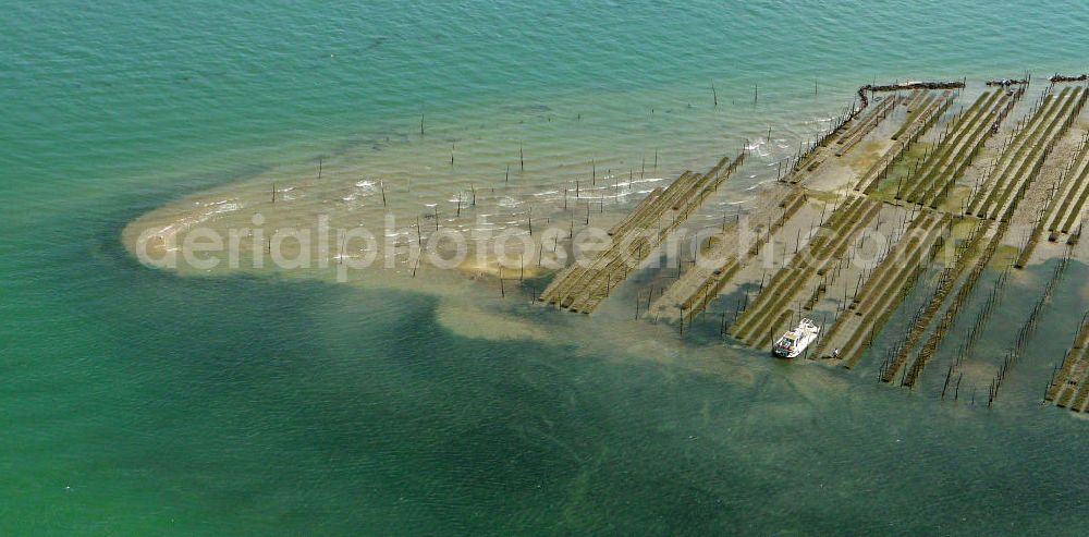 Aerial image Arcachon - Blick auf die Zuchtanlagen für Austern im Becken von Arcachon. Das flache, warme Becken ist ideal für die Aufzucht von Saataustern, die dann in an dere Gebiete zur weiteren Zucht verkauft werden. View of the farms for oysters in the Bay of Arcachon. The shallow, warm pool is ideal for the breeding of young oysters which are then sold in other areas for further breeding.