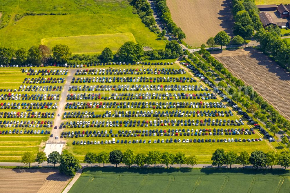 Bottrop from the bird's eye view: Parking and storage space for automobiles in a field at Movie Park Germany on street Feldhausener Strasse in Bottrop at Ruhrgebiet in the state North Rhine-Westphalia, Germany