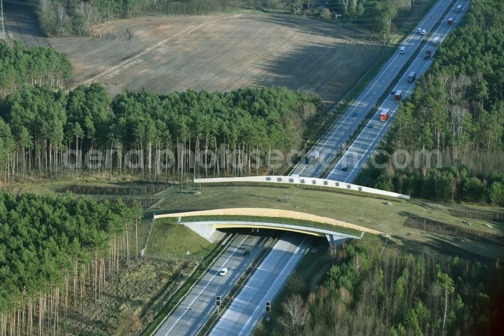 Aerial image Briesen (Mark) - Highway bridge structure applied as a wildlife crossing bridge Wild - Wild swap the BAB A 12 in Briesen (Mark) in the state Brandenburg