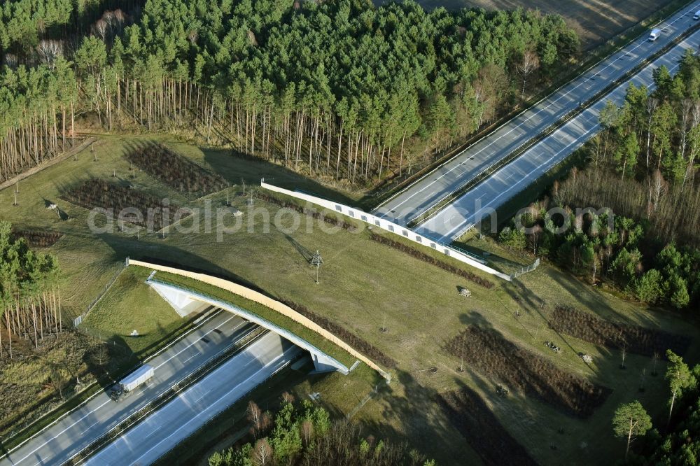 Briesen (Mark) from above - Highway bridge structure applied as a wildlife crossing bridge Wild - Wild swap the BAB A 12 in Briesen (Mark) in the state Brandenburg