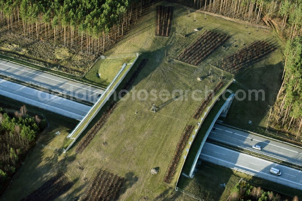 Briesen (Mark) from the bird's eye view: Highway bridge structure applied as a wildlife crossing bridge Wild - Wild swap the BAB A 12 in Briesen (Mark) in the state Brandenburg