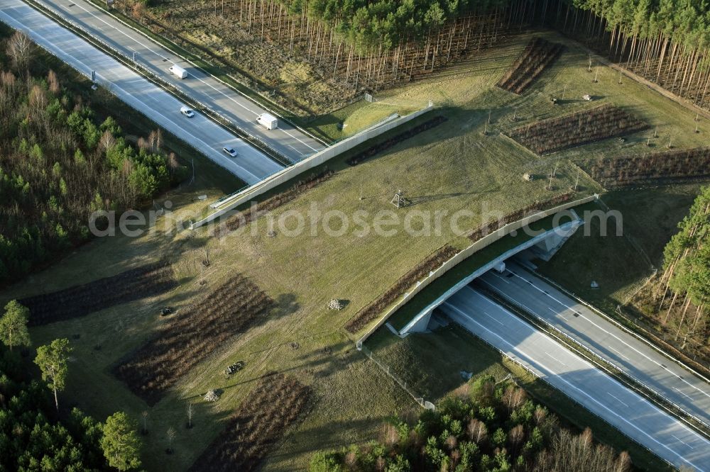 Aerial image Briesen (Mark) - Highway bridge structure applied as a wildlife crossing bridge Wild - Wild swap the BAB A 12 in Briesen (Mark) in the state Brandenburg