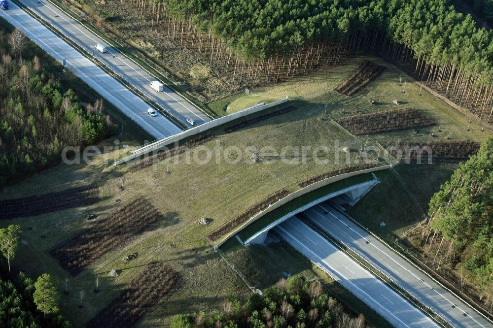 Aerial photograph Briesen (Mark) - Highway bridge structure applied as a wildlife crossing bridge Wild - Wild swap the BAB A 12 in Briesen (Mark) in the state Brandenburg