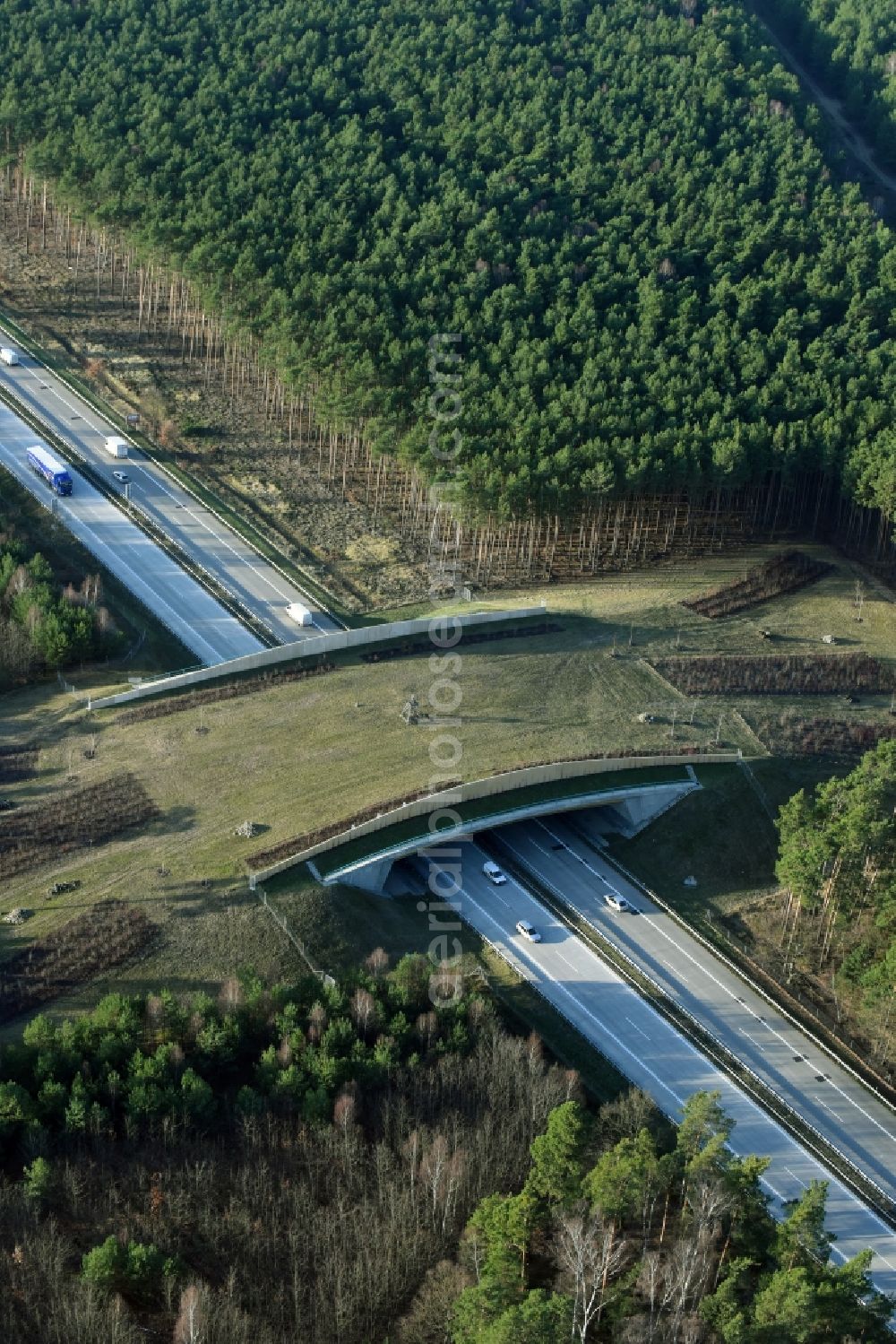 Briesen (Mark) from the bird's eye view: Highway bridge structure applied as a wildlife crossing bridge Wild - Wild swap the BAB A 12 in Briesen (Mark) in the state Brandenburg