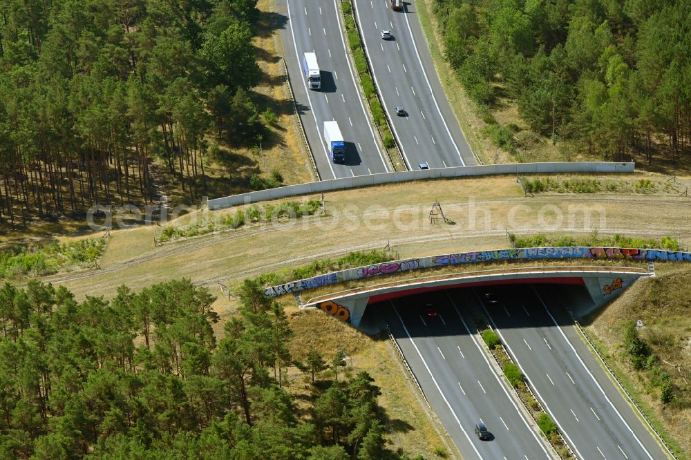 Aerial image Beelitz - Highway bridge structure applied as a wildlife crossing bridge Wild - Wild swap the BAB A 9 through the ARIKON BAU AG in Beelitz in the state Brandenburg, Germany