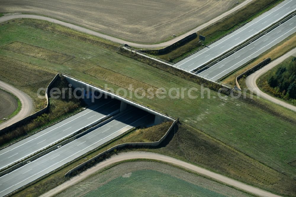 Aerial photograph Frohburg - Highway bridge structure applied as a wildlife crossing bridge Wild - Wild swap the BAB A 72 in Frohburg in the state Saxony