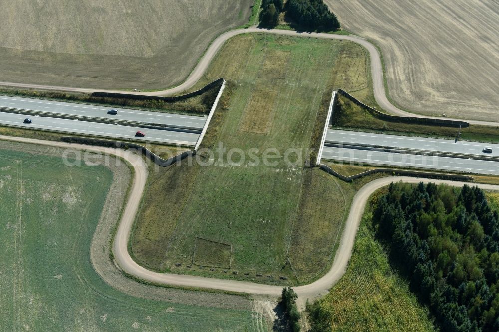 Frohburg from the bird's eye view: Highway bridge structure applied as a wildlife crossing bridge Wild - Wild swap the BAB A 72 in Frohburg in the state Saxony