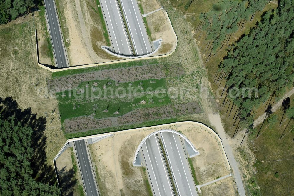 Aerial photograph Groß Warnow - Highway bridge structure applied as a wildlife crossing bridge Wild - Wild swap the BAB A 14 in Gross Warnow in the state of Brandenburg