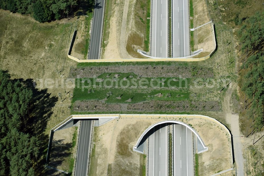 Aerial photograph Groß Warnow - Highway bridge structure applied as a wildlife crossing bridge Wild - Wild swap the BAB A 14 in Gross Warnow in the state of Brandenburg