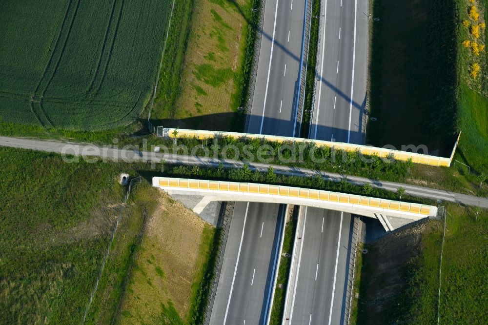 Aerial photograph Groß Warnow - Highway bridge structure applied as a wildlife crossing bridge Wild - Wild swap the BAB A 14 in Gross Warnow in the state Brandenburg, Germany