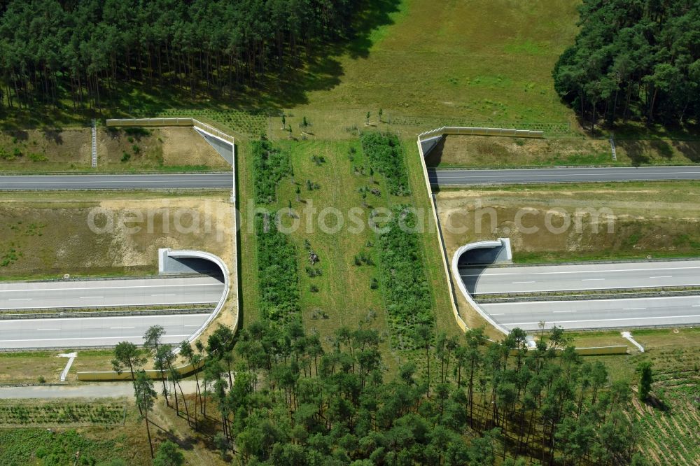 Aerial photograph Karstädt - Highway bridge structure applied as a wildlife crossing bridge Wild - Wild swap the BAB A 14 in Karstaedt in the state Brandenburg, Germany