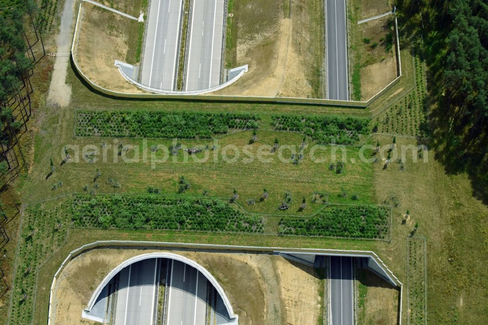 Karstädt from the bird's eye view: Highway bridge structure applied as a wildlife crossing bridge Wild - Wild swap the BAB A 14 in Karstaedt in the state Brandenburg, Germany